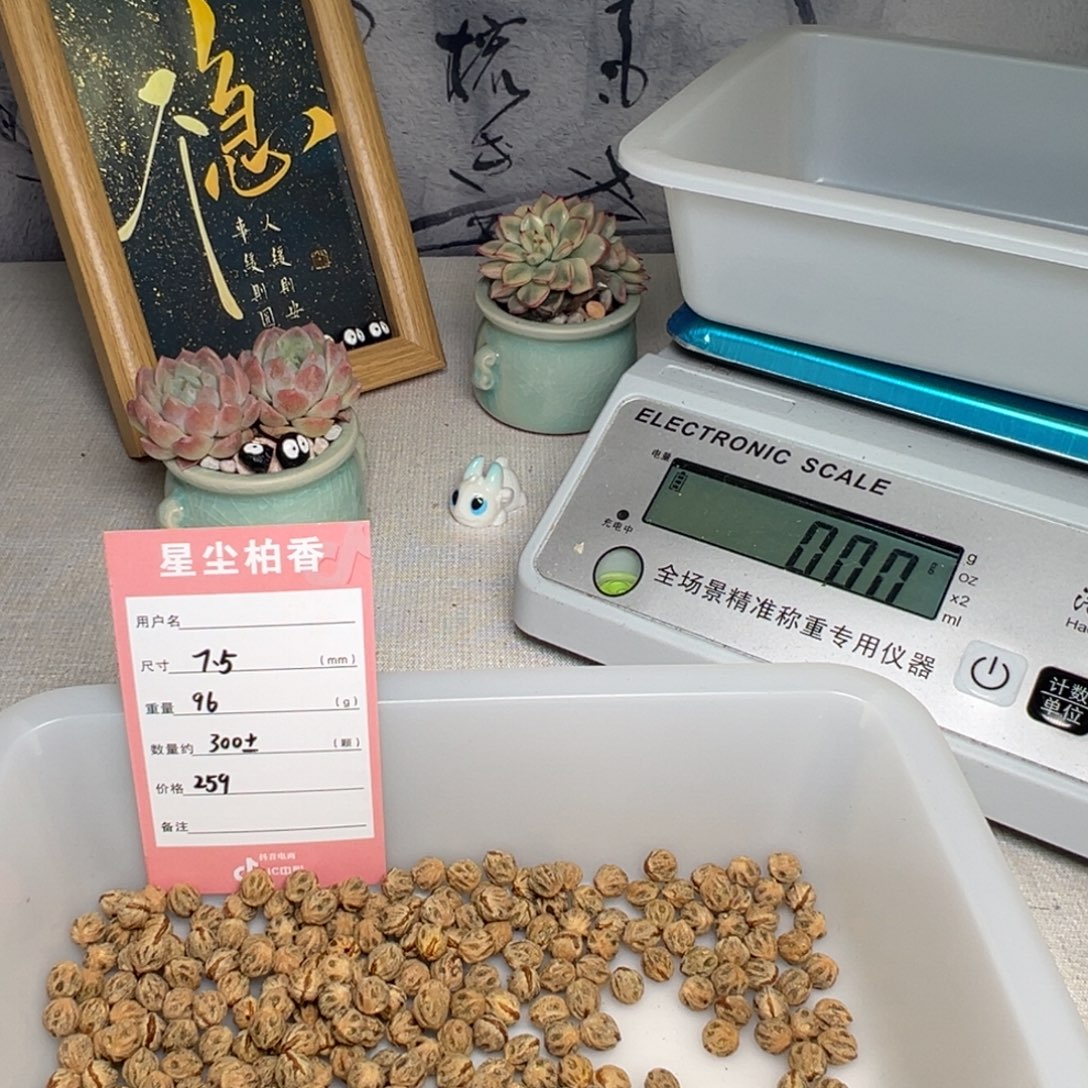 古***今柏香籽/百香籽吊坠