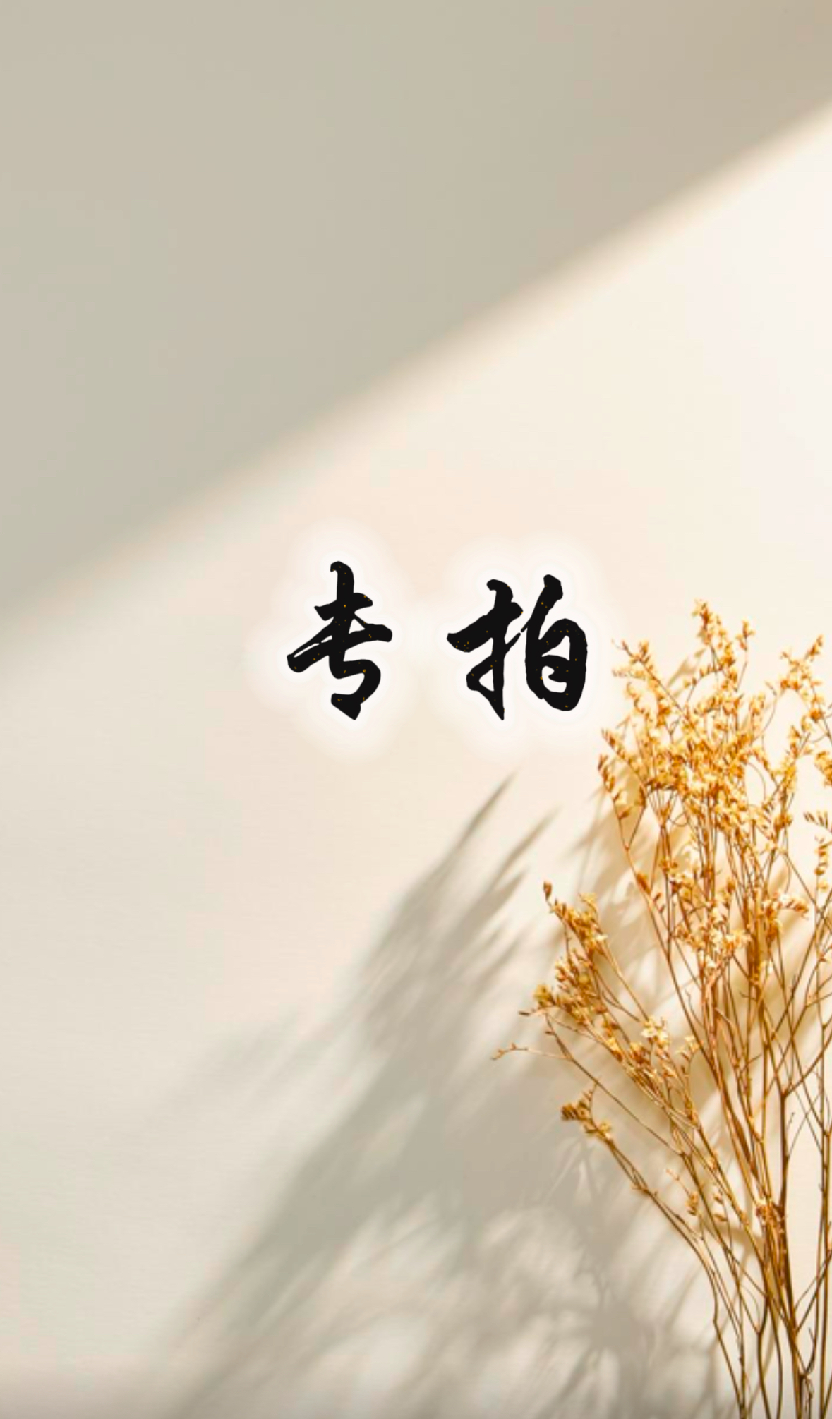 手工原创设计款专拍连接