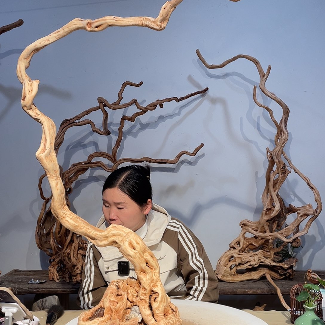 核桃木/黑胡桃（胡桃木）୧****