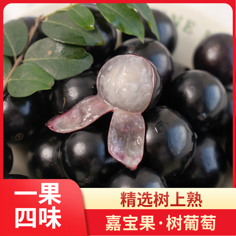 顺丰快递沙巴树葡萄沙巴嘉宝果新鲜水果树葡萄现摘孕妇罕见稀有水果当季0.5-5斤装福建省福建省