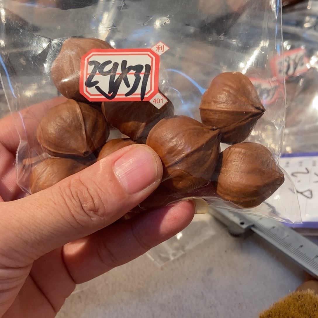 金***哥吊坠橄榄核橄榄橄榄