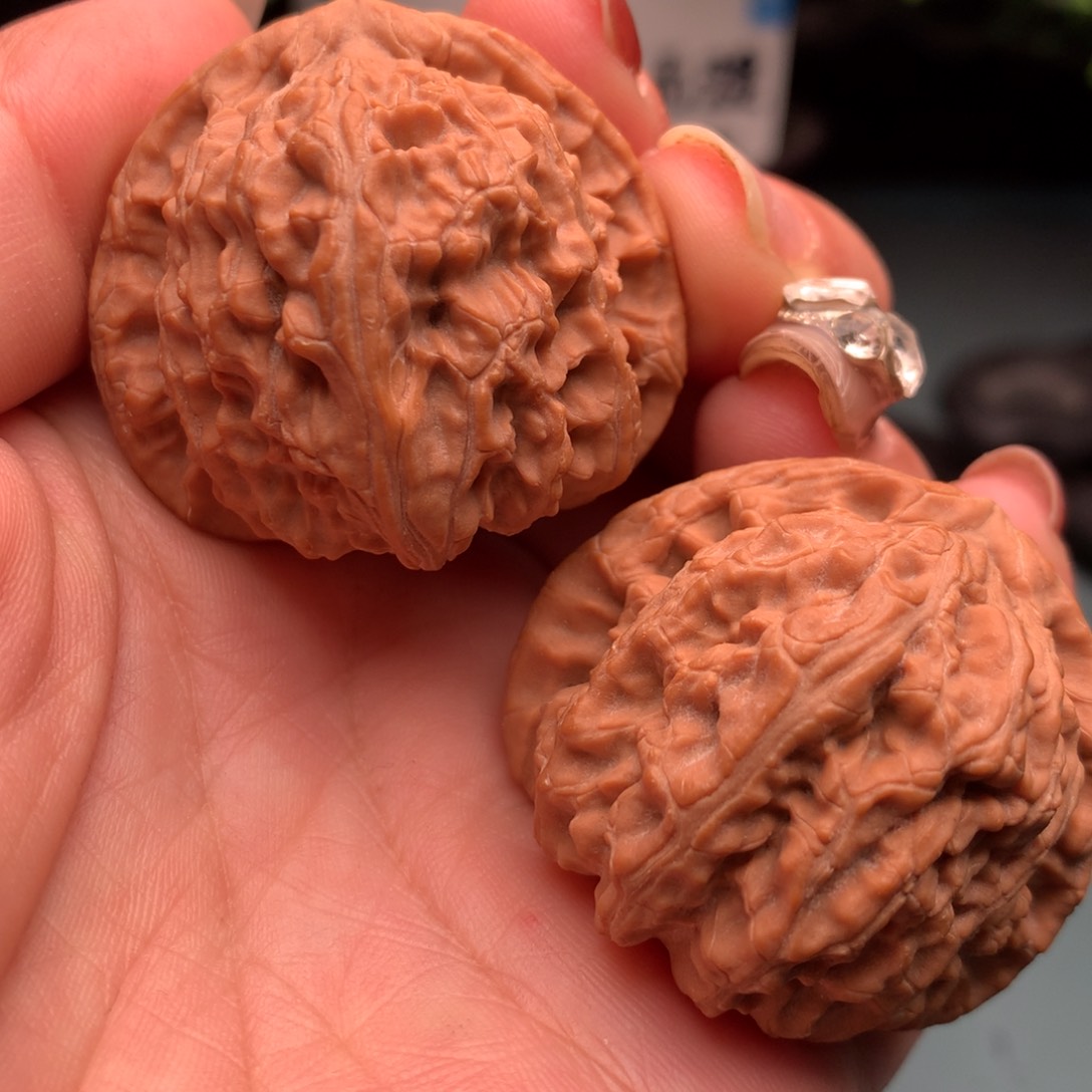 文玩核桃把件核**心白狮子17