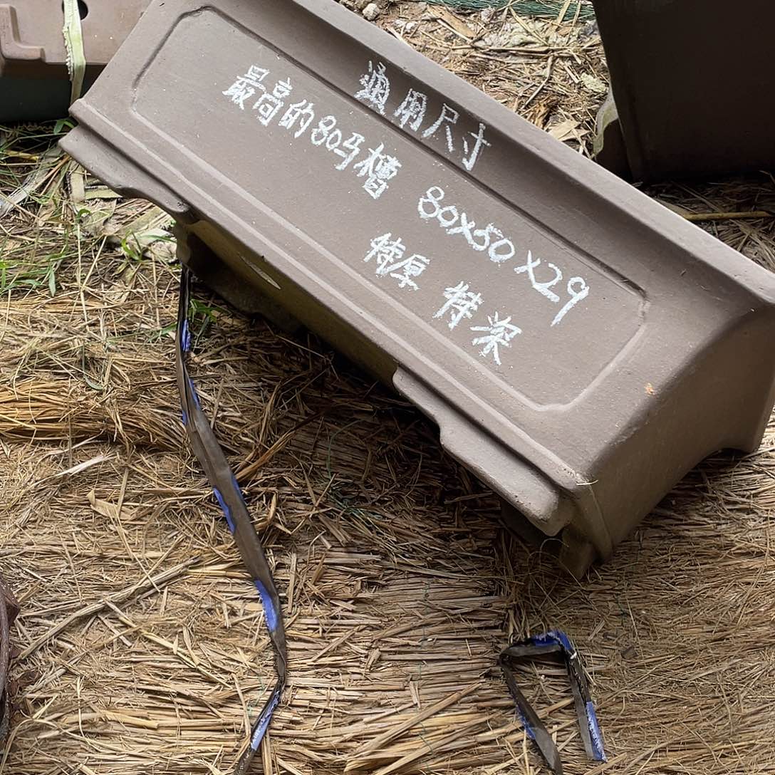 特价处理紫砂一只