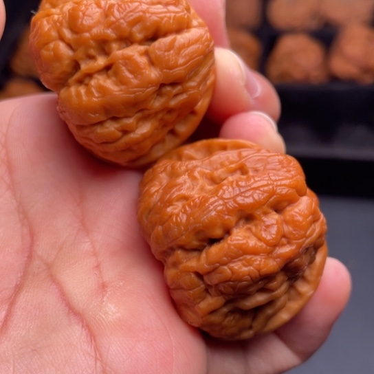文玩核桃把件秦岭山脉核桃