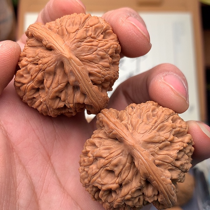 桃核把件文玩核桃40+尺/水龙纹