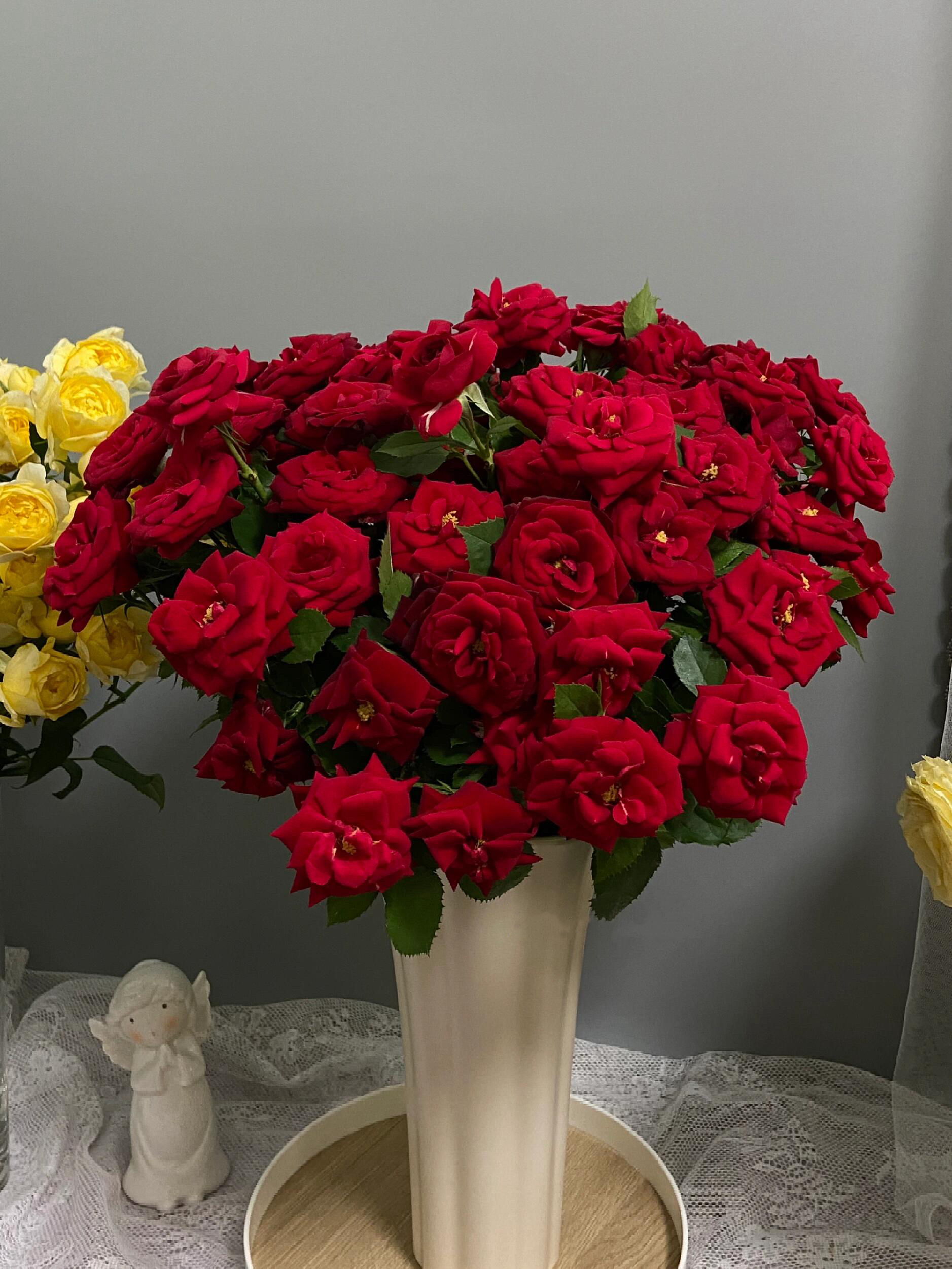 多头回眸玫瑰酒红色稀有品种水培鲜花