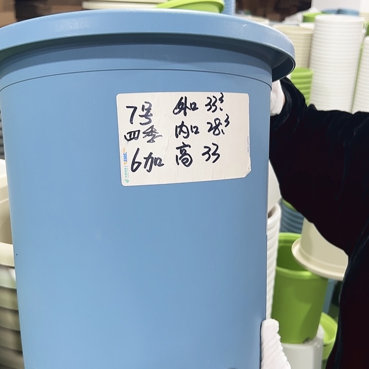 特价7号四季口33高33白色6只无托