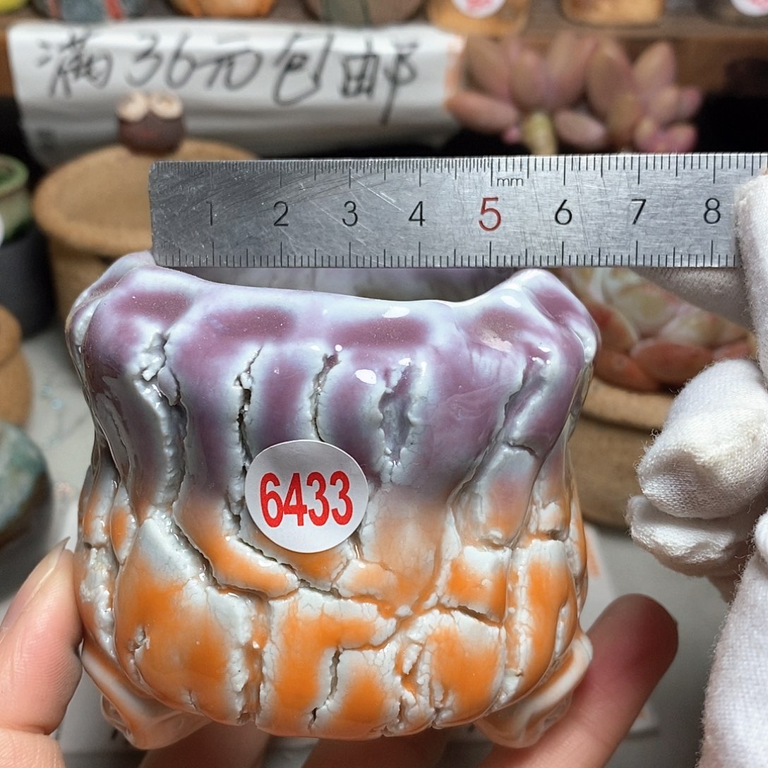 红陶拍5送一个小