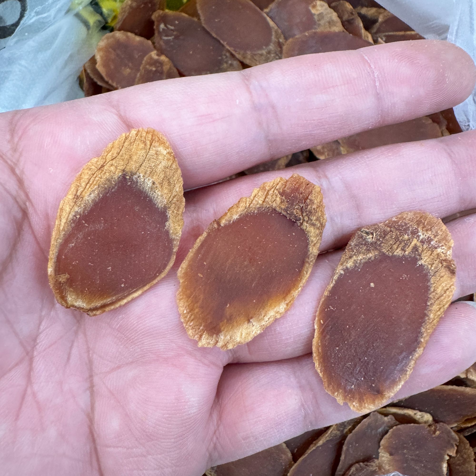 长白山 红参大片