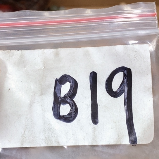 正***妹吊坠滴血莲花菩提