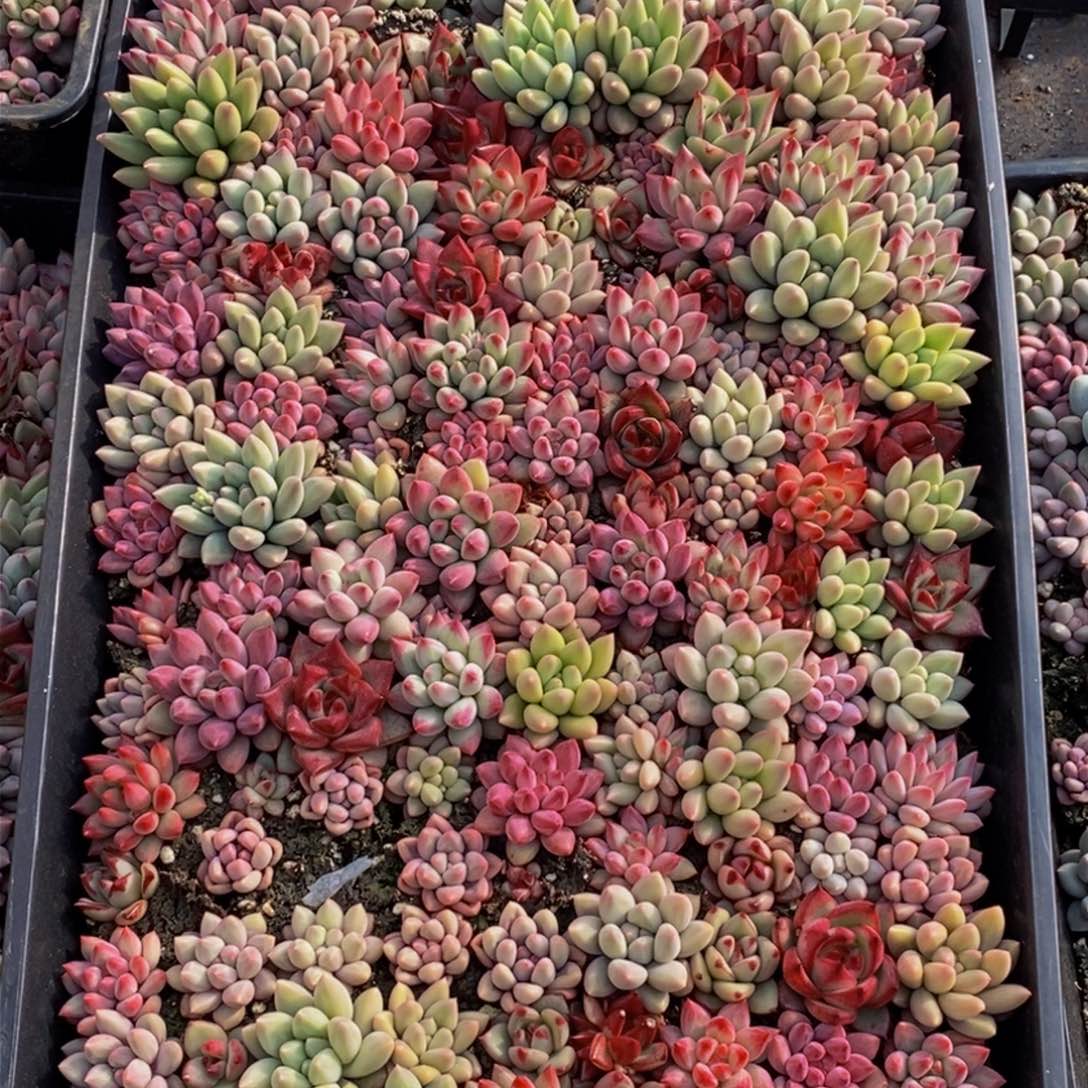 大***?879的人生态度是一种态度