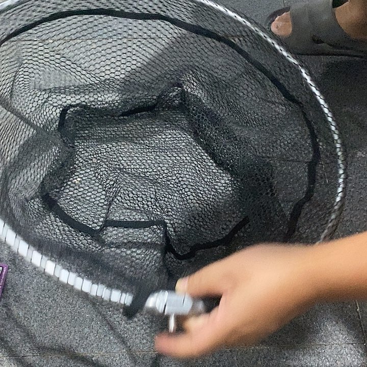 50口径折叠抄网头 一个