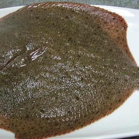 【新品特惠】多宝鱼5条活鱼速冻