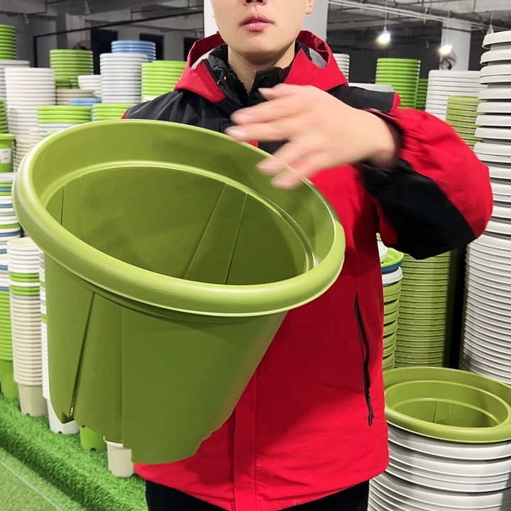 清仓青山口40高34果绿色3只无托