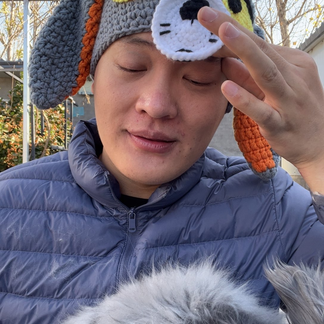 宠物兔英系安哥拉兔