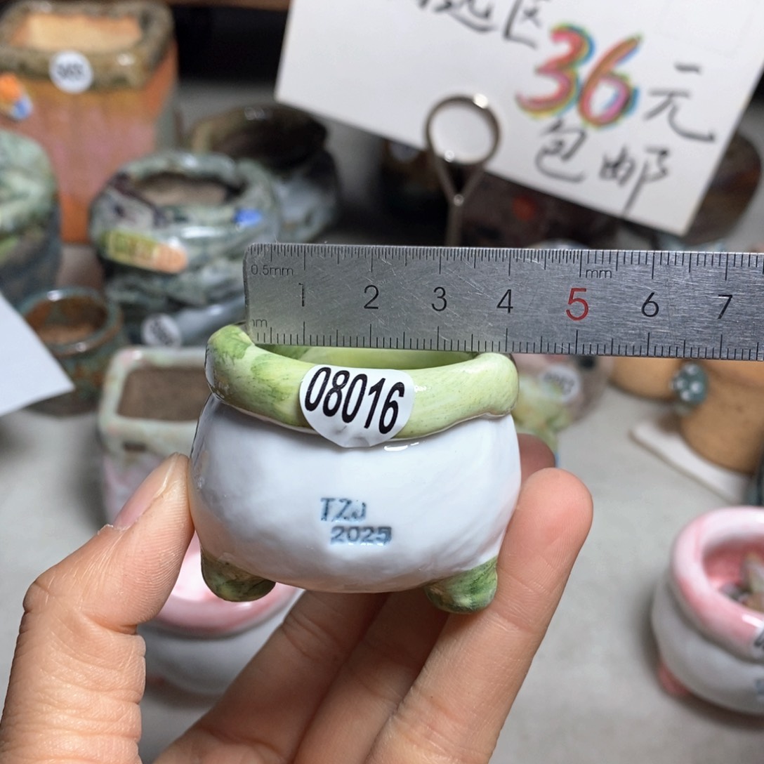 花盆双十二活动不退不换的原28元一个