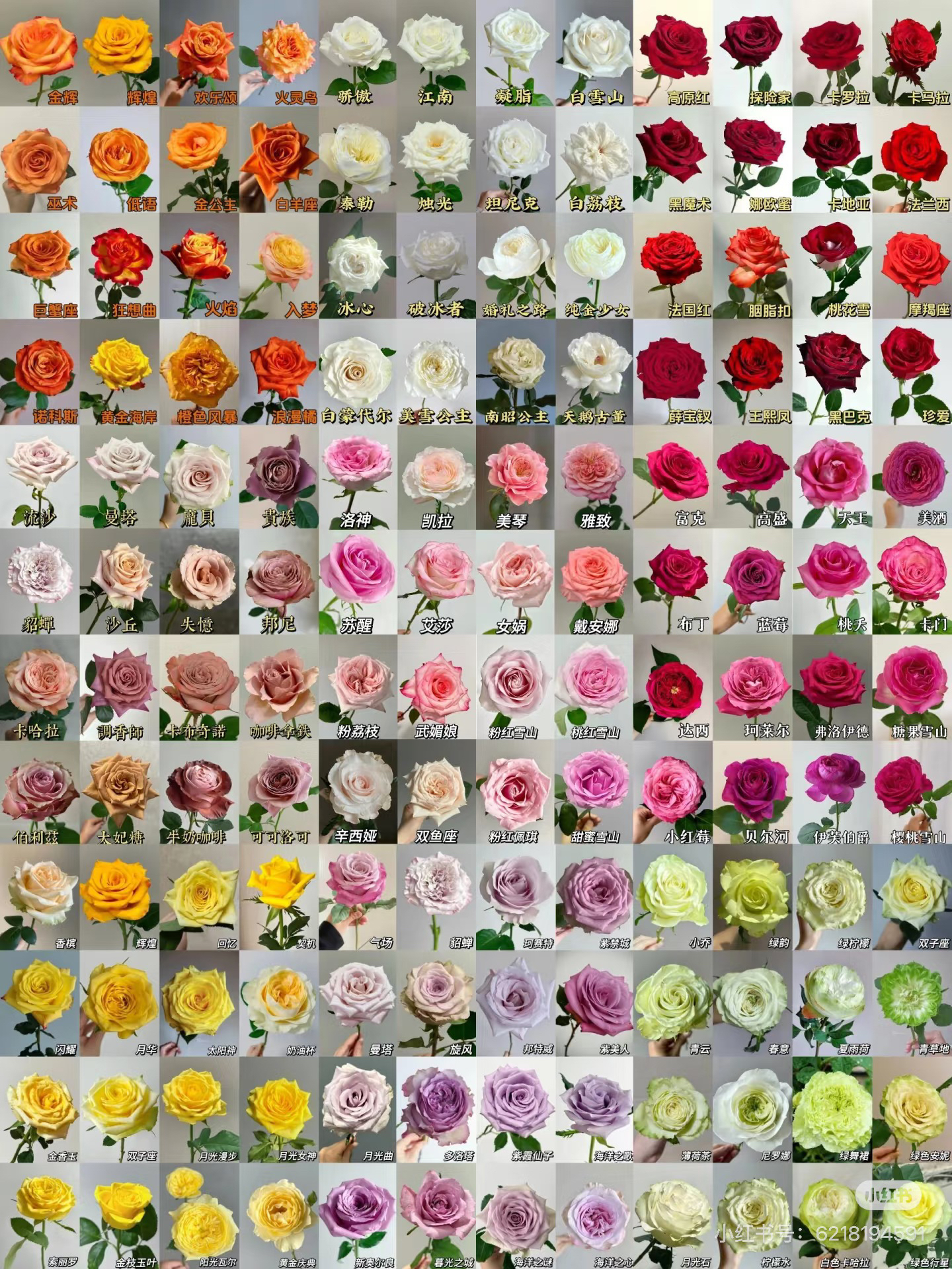 云南全品类鲜花批发玫瑰花