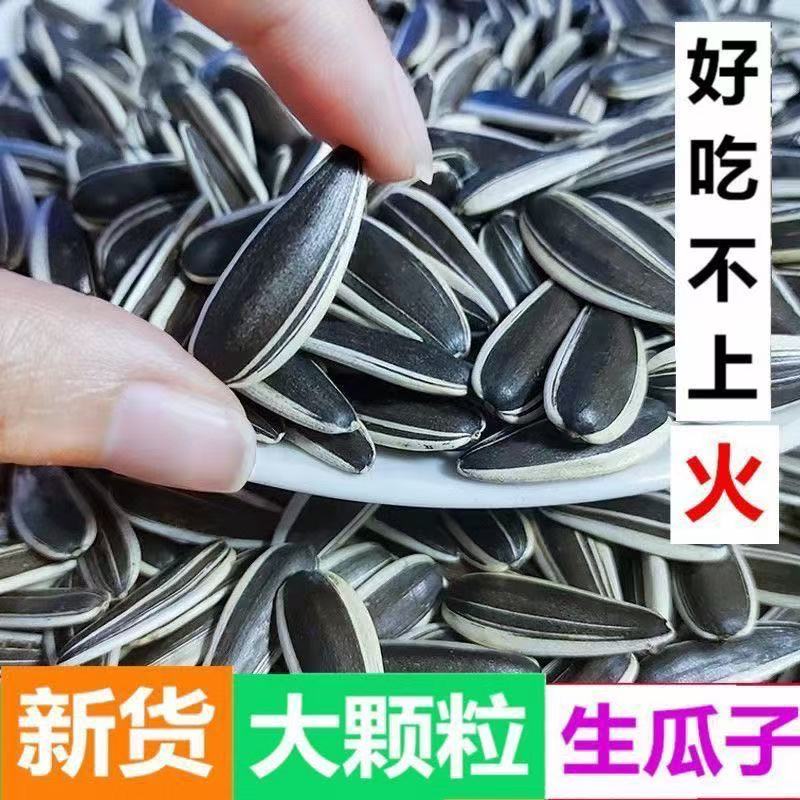 新货原味生瓜子大颗粒葵花籽休闲追剧零食