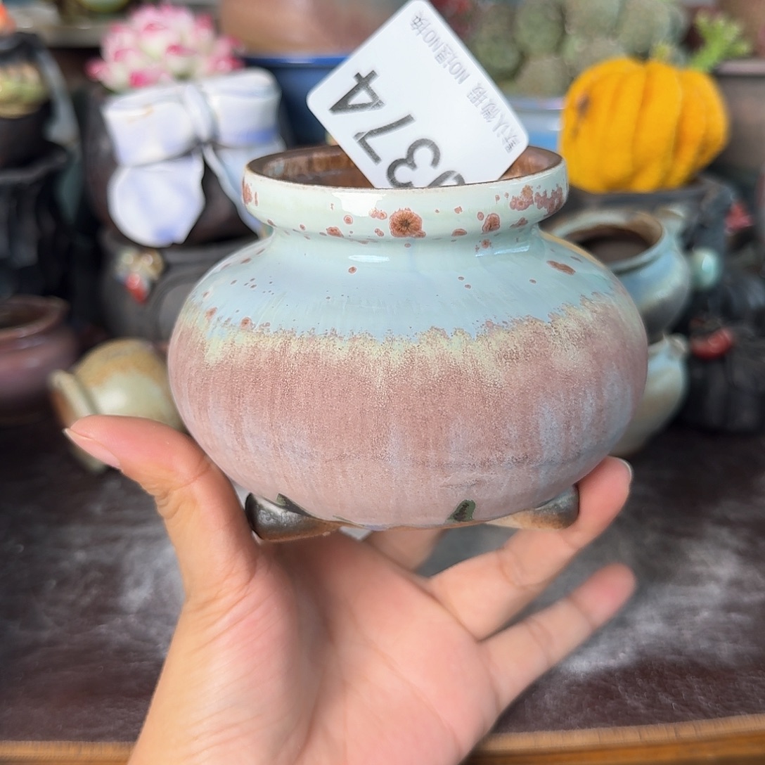 重庆小燕子欢迎大家374