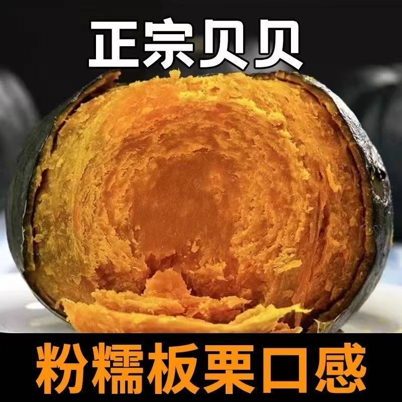 正宗贝贝南瓜粉糯香甜板栗味新鲜现摘现发宝宝辅食粗粮包邮批发价