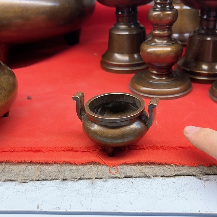 你看到的的萝莉控