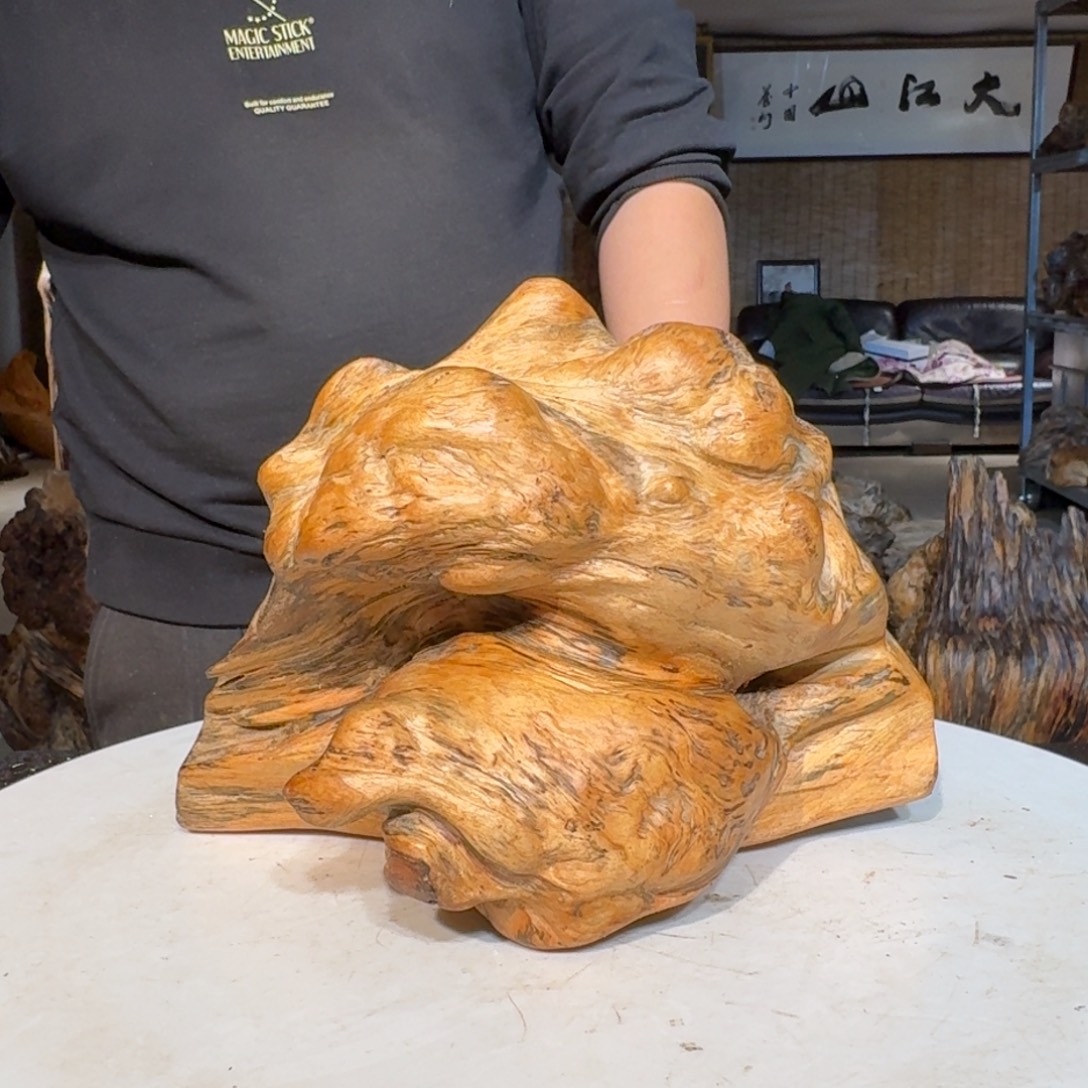 江***鸟琥珀木北沉香琥珀木摆件定向链接38