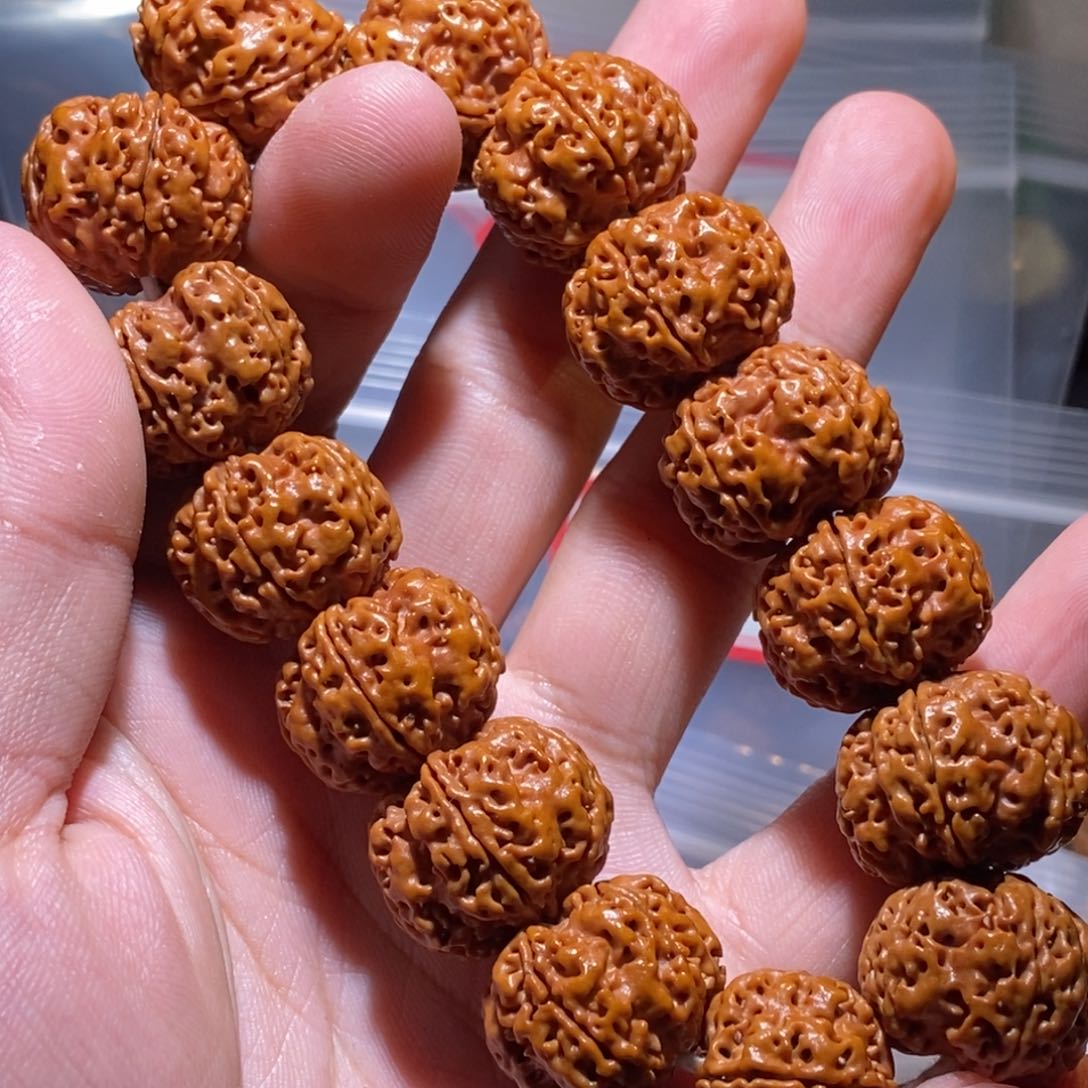 金刚菩提手串21mm五星双龙