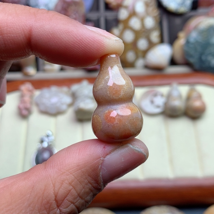 硅化珊瑚（珊瑚玉）颈饰未镶嵌