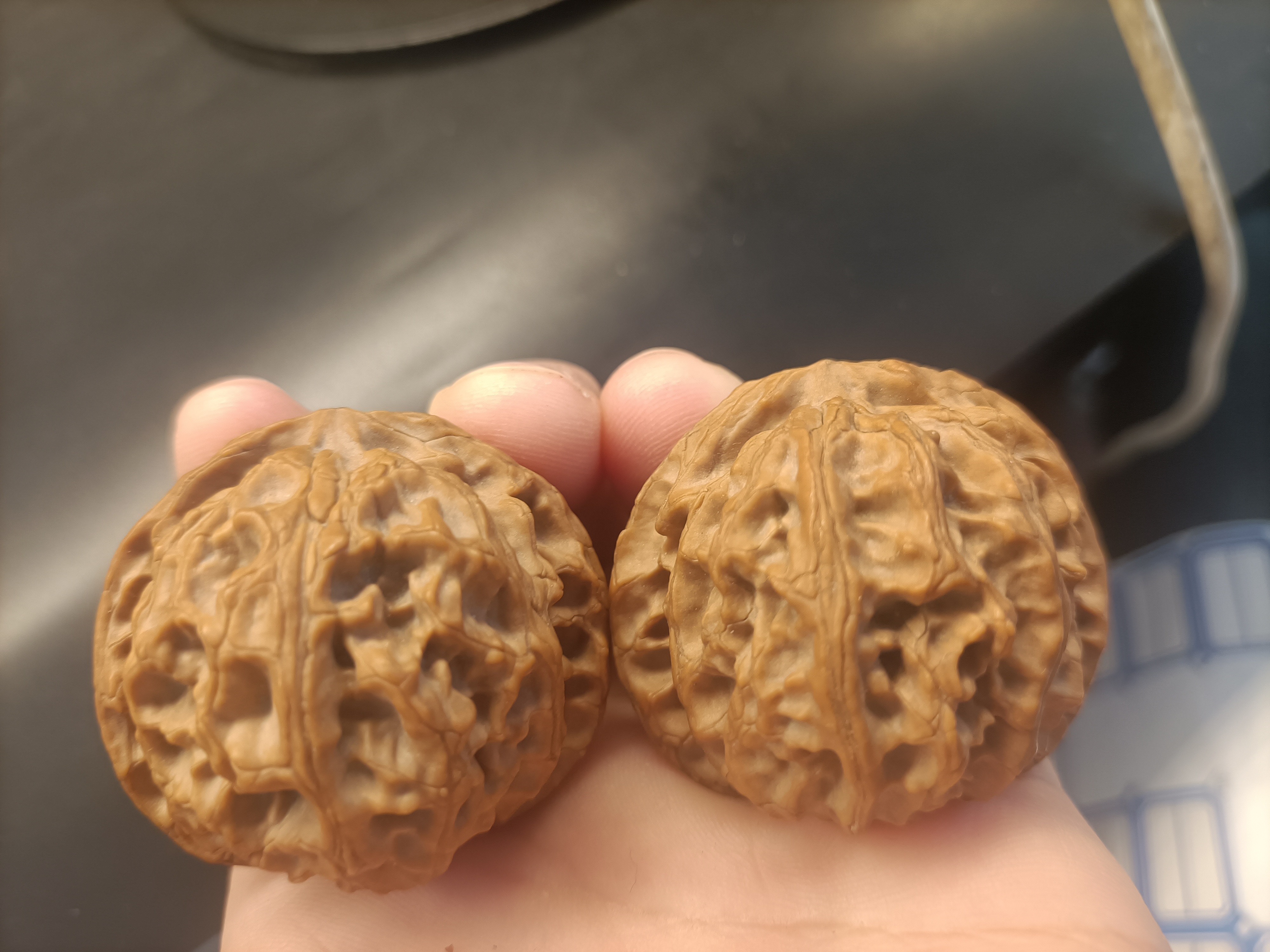 老树苹果园狮子头