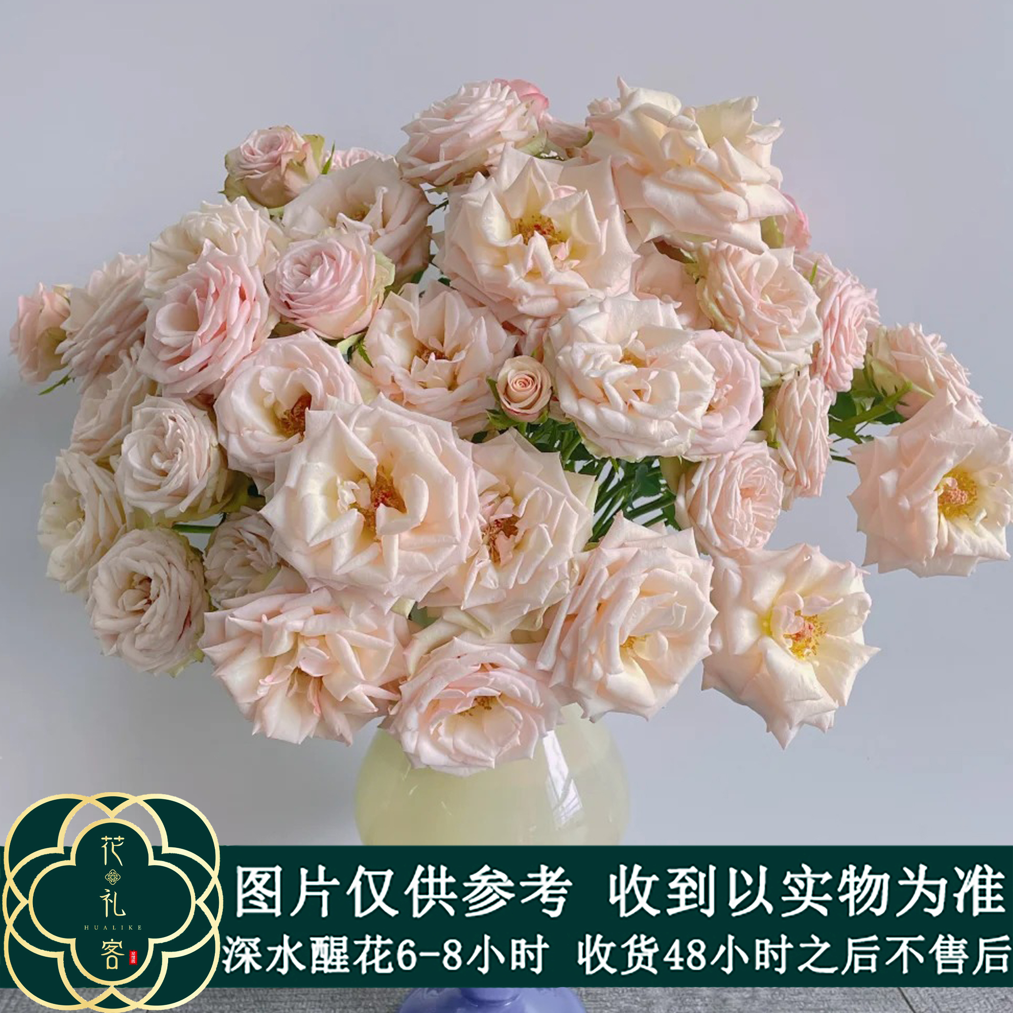 云花巷#多头玫瑰 【香槟】鲜花优选 顺丰直发