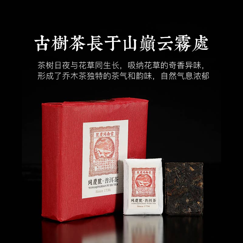 同庆号普洱茶2020红印巧意3g*24 生砖 阳春嫩尖一芽两叶工艺精美