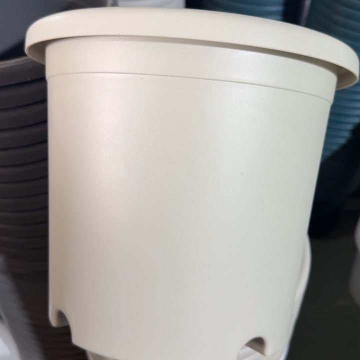 特价4#无托灰白8个