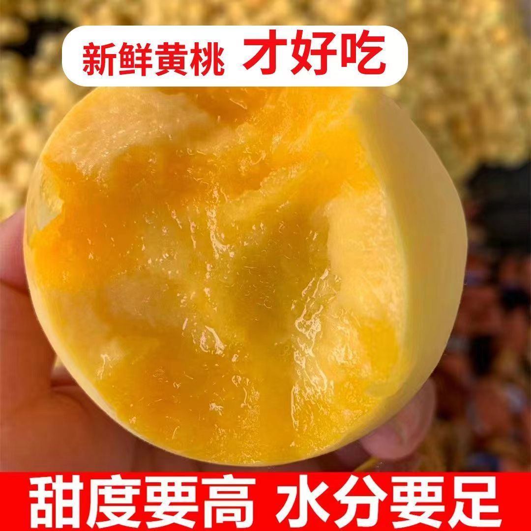  正宗湖南汝城黄桃现货应季水果爆甜锦绣高山非炎陵黄桃新鲜爆甜