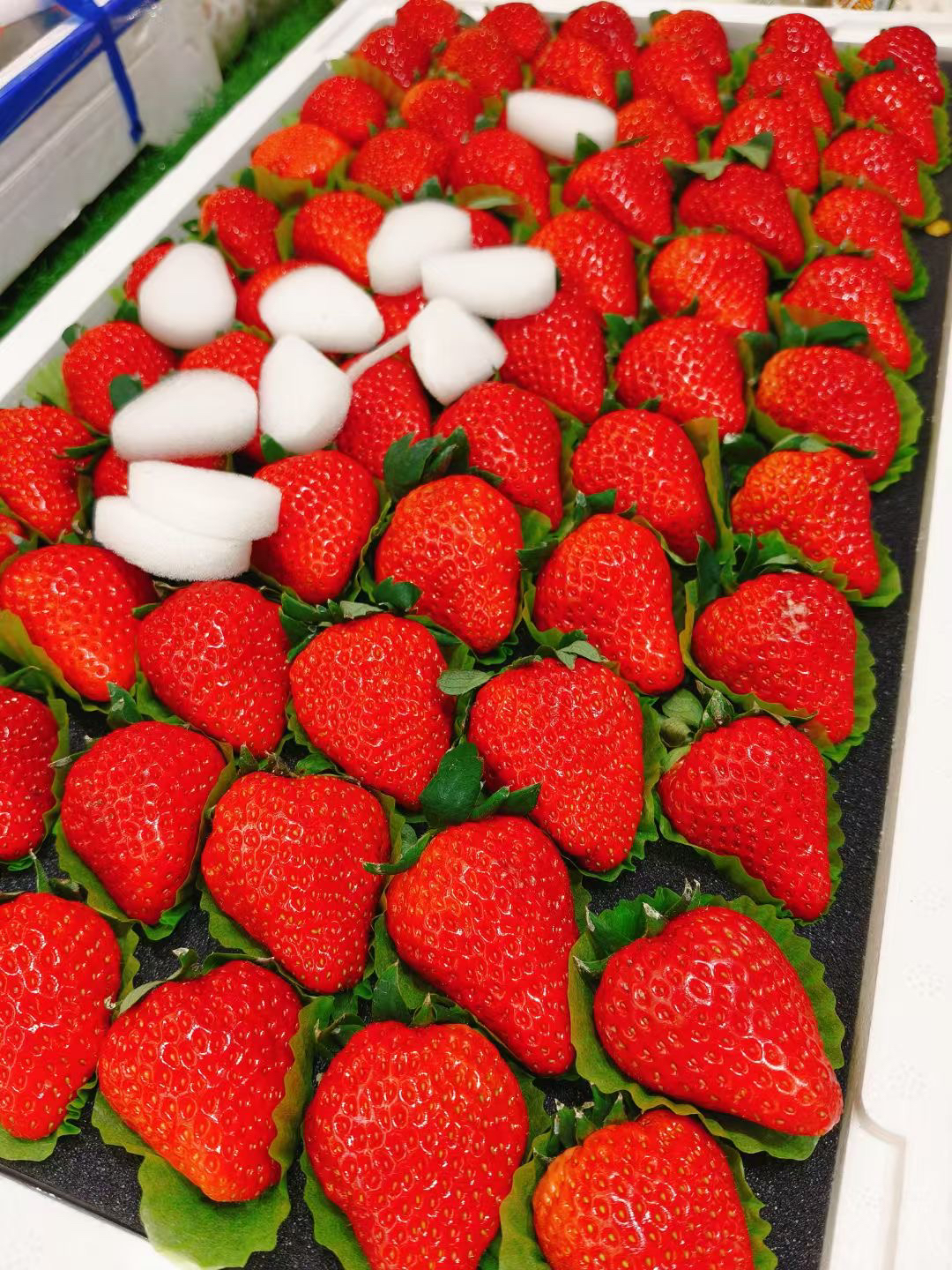 精品红颜草莓中果四斤装