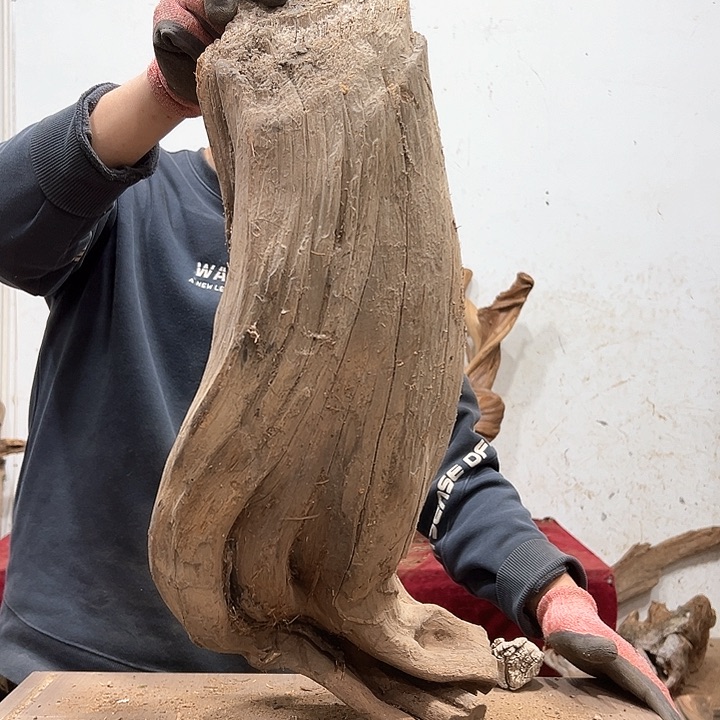 柏木本**活我们的生活也是如此的丰富多彩