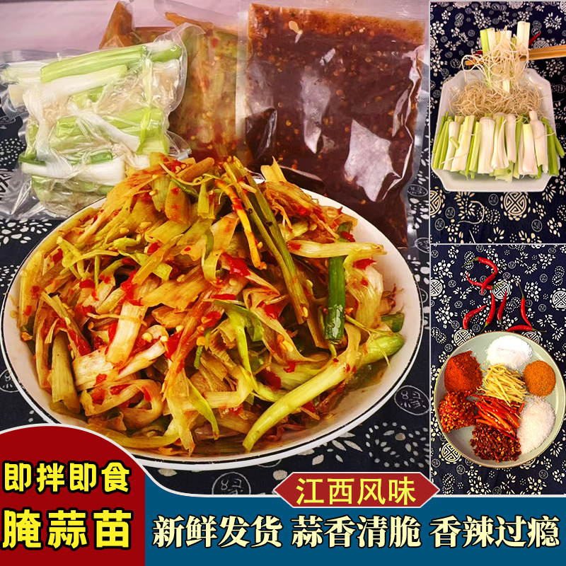 江西特产农家手作香辣腌蒜苗开胃下酒菜360g 锁鲜发货 顺丰到家