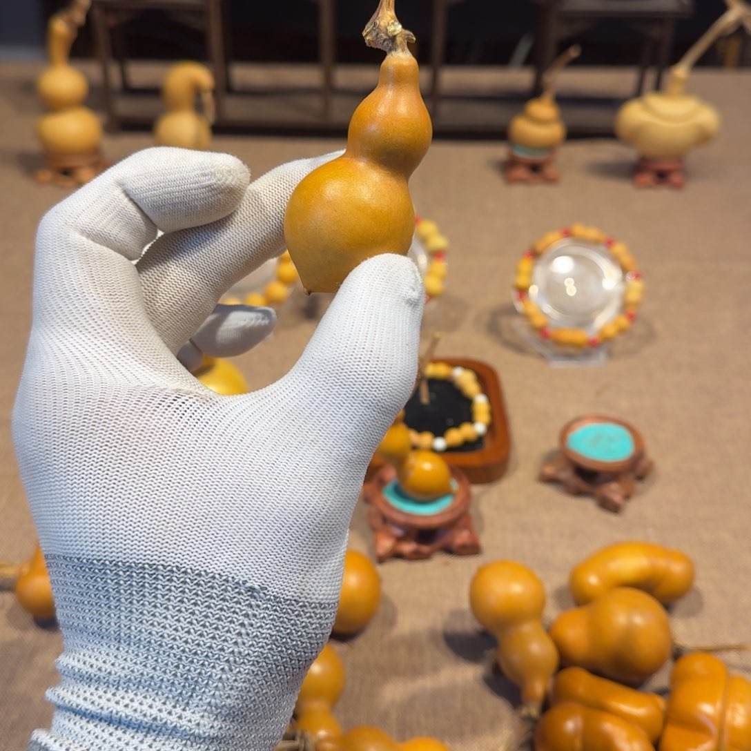 心***疆葫芦手把葫芦一把抓