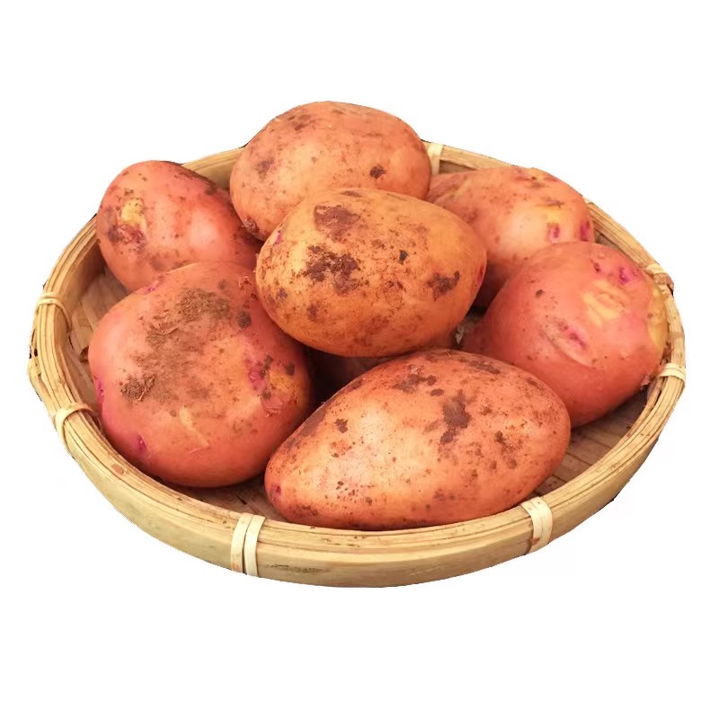 红皮新洋芋500g