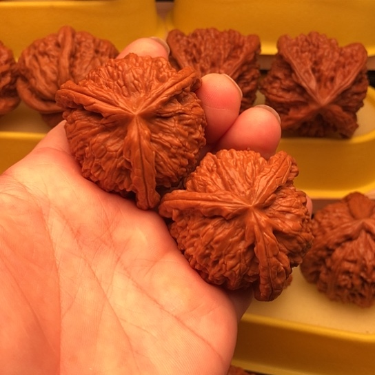 用***4核桃核桃核桃核桃
