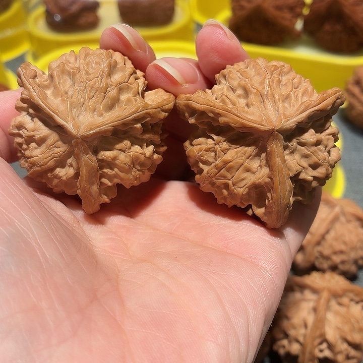 风**阻文玩核桃，盘山三棱，尺寸43