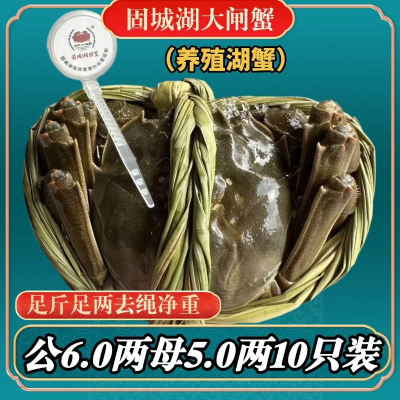 [活蟹]江苏固城湖大闸蟹5两母+6两公（公母对半）4-8只装 顺丰包邮