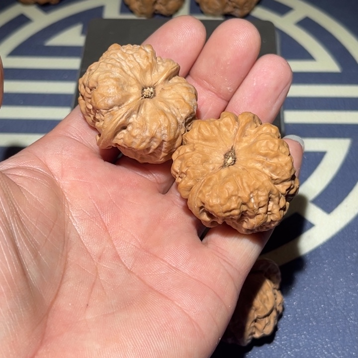 文玩核桃把件蒸**上38全品