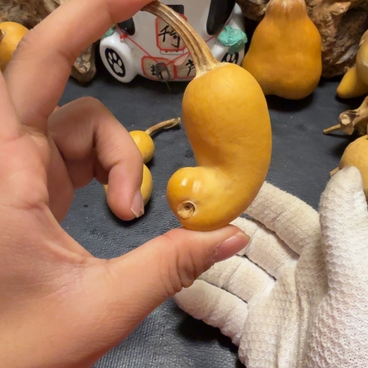 超***666……………………………………