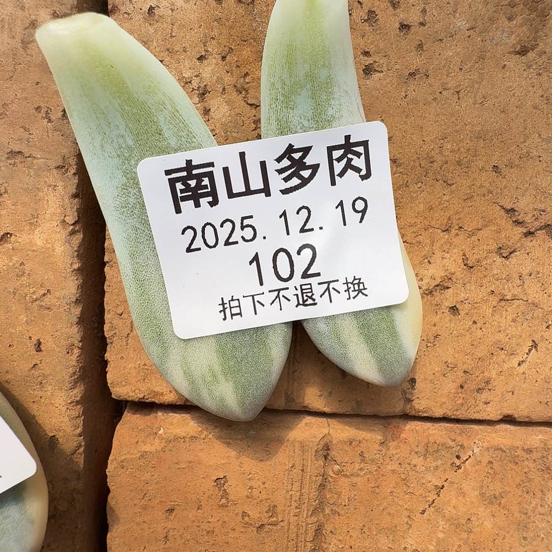 T***e香水杂1111219-312