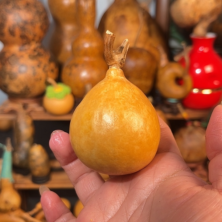 留***白橘皮重度花叶陨石坑