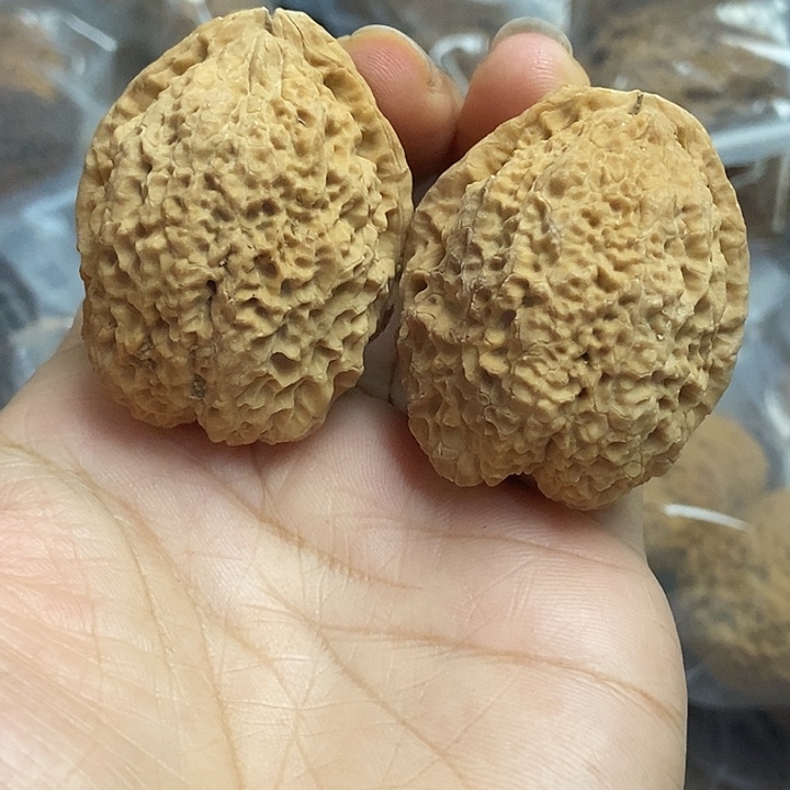 把件文玩核桃云南铁核桃基地6