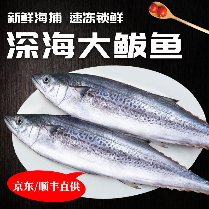 燕鲅鱼新鲜冰鲜蓝点马鲛鱼鲜活燕尾鱼特大号燕鱼