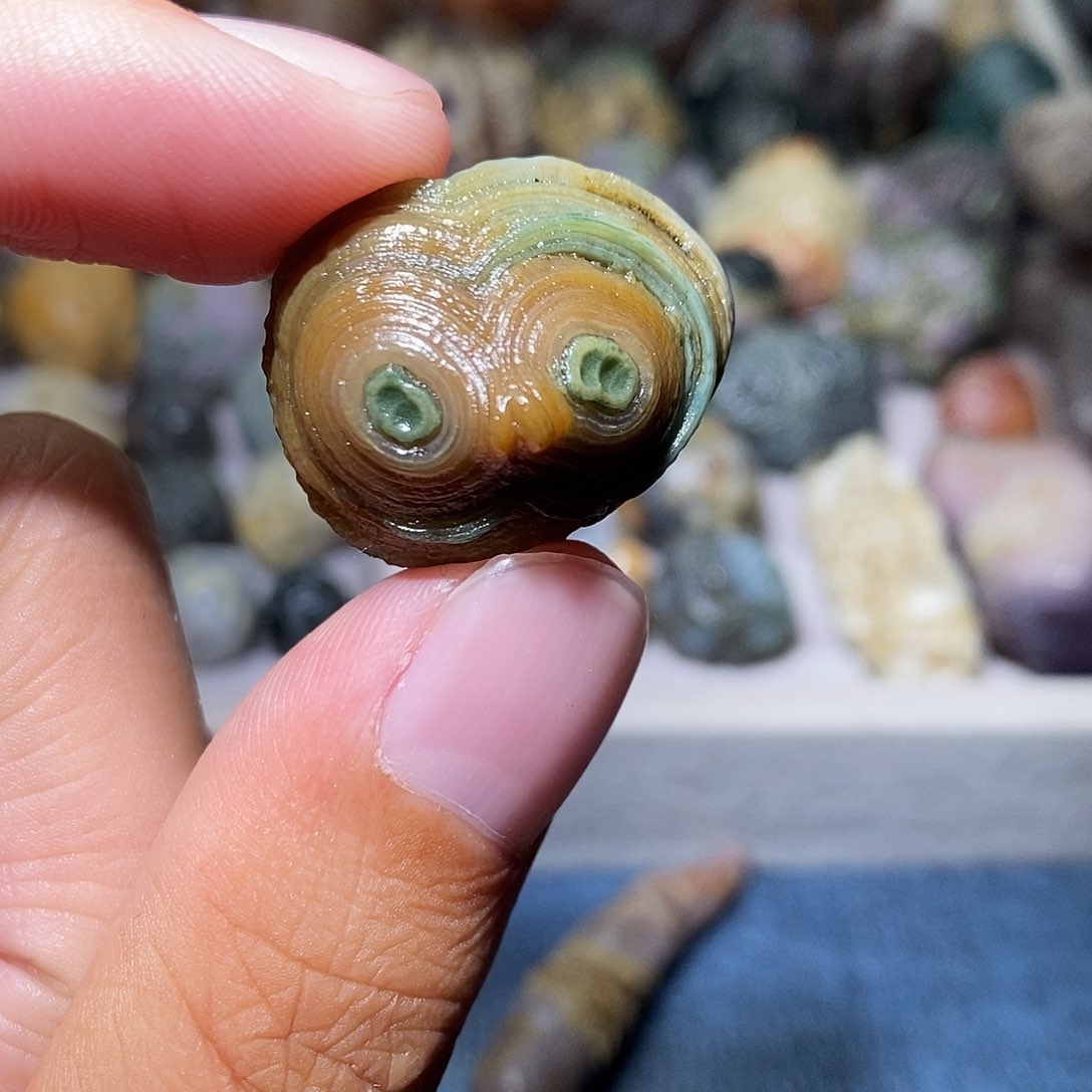 石头精品眼睛单科