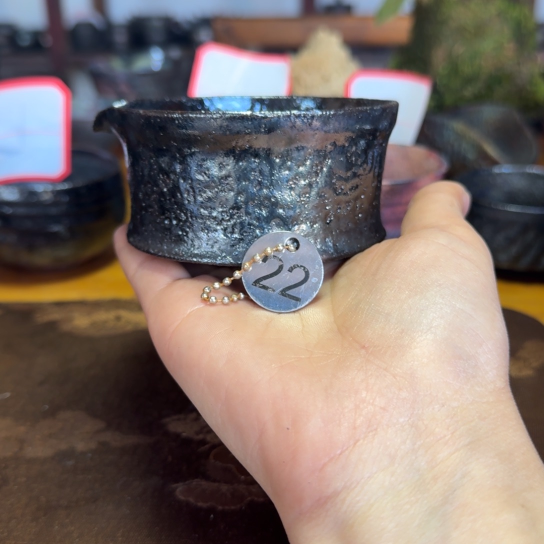 福*荥经黑砂22号1只只