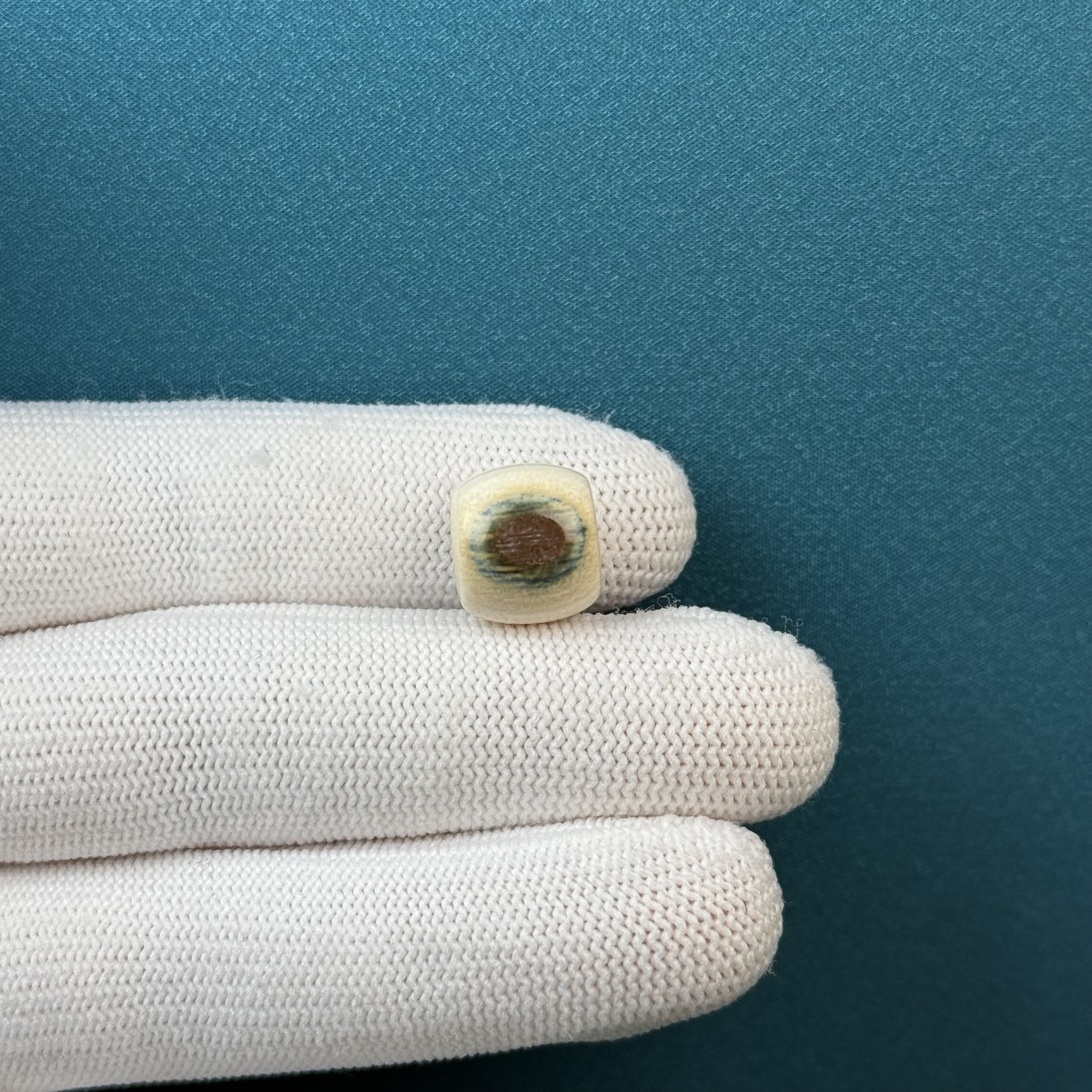 D51-73天然猛犸牙 蓝眼睛老型珠12.3x11.2mm支持复检假一罚十